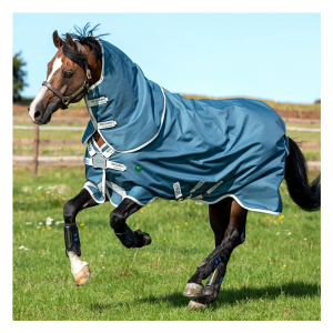 HORSEWARE IRELAND Amigo AmECO 12 Plus (100g Light) Teal/Grey Turnout (AAROJ2-CTJ0) - Horseware Ireland