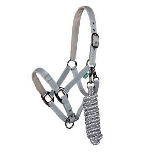 HORSEWARE IRELAND Newmarket Witney Halter and Lead Rope (DHHX11)