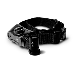 DT SYSTEMS Bark Boss Rechargeable Compact NO Bark Collar (BARK-BOSS-RECH)