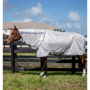HORSEWARE IRELAND Amigo Bug Rug Plus Fly Sheet (AFRNGP)