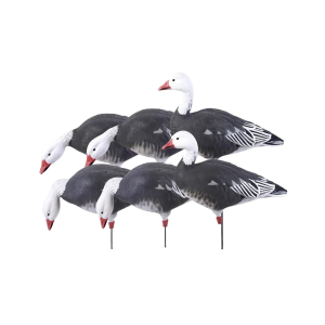 AVERY 6-Pack Pro-Grade Full Body Blue Goose Harvester Decoys (71202)