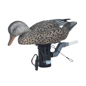AVERY GHG Finisher Swimmer Gadwall Hen Decoy (78007)