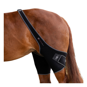 PROFESSIONAL'S CHOICE Theramic Stifle Wrap (PCTSW)