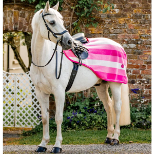 HORSEWARE IRELAND Newmarket Exercise Sheet (AEHRRN)