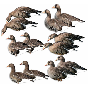 Avery AVERY FFD Elite Specklebelly Silhouette Decoys (77018) - $157.99 at gritroutdoors.com