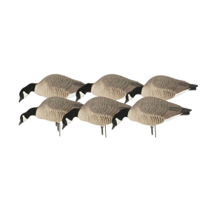 Avery AVERY Hunter Series Canada Goose Feeder Decoys (71605) - $117.99 at gritroutdoors.com
