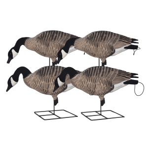 Avery AVERY 4-Pack Pro Grade XD Full Body Canada Goose Feeder Decoys (71561) - $175.99 at gritroutdoors.com