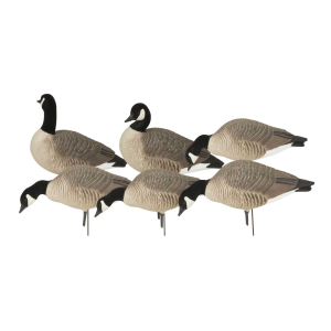 Avery AVERY Hunter Series Canada Goose Harvester Decoys (71606) - $175.99 at gritroutdoors.com
