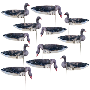 Avery AVERY Pro Grade Specklebelly Goose Regular Sock Decoys with Painted Heads (77505) - $105.99 at gritroutdoors.com