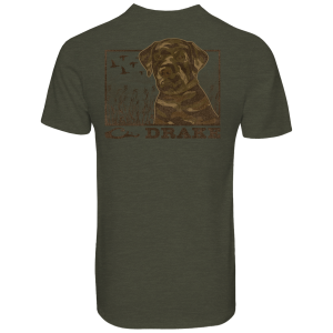 Drake Drake Waterfowl Chocolate Lab T-Shirt (DT9844) - $34.99 at gritroutdoors.com