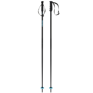 HEAD Multi Ski Poles (3818)