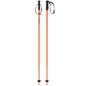 HEAD Multi Ski Poles (3818)