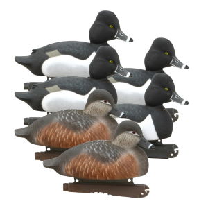 Avery AVERY 6 Pack of Life-Size Ring-Necked Duck Decoys (73040) - $83.99 at gritroutdoors.com