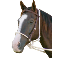 MUSTANG Brown Breaking Bridle Hackamore (8162)