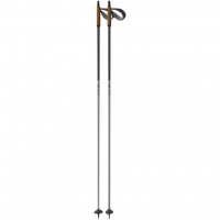 FISCHER Diamond ALC Fitness Nordic Poles