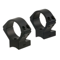 TALLEY Ruger 10/22 Scope Mounts