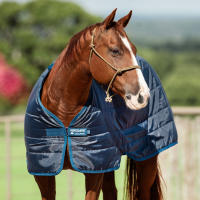HORSEWARE IRELAND Horseware Lite 100g Navy/Navy Blanket Liner (ABAD61-BB00)