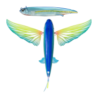 NOMAD DESIGN Slipstream 140 5.5in Flying Fish Lure