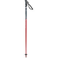 SWIX Wc Pro Jr Sl Pole (JA105-00)