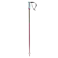 VOLKL Phantastick W Poles