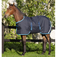 HORSEWARE IRELAND Amigo Ripstop Foal Turnout (200g Medium) Turnout Blanket (AARHJ4)