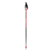 VOLKL Speedstick Ski Poles