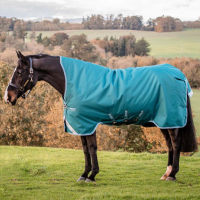HORSEWARE IRELAND Amigo Bravo 12 Wug Light 0g Turnout Blancket (AARW71)