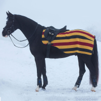 HORSEWARE IRELAND Rambo Fleece Competition Sheet