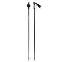 HEAD Frontside Anthracite/White Ski Poles (381553)