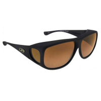 JONATHAN PAUL Aviator Fitover Sunglasses