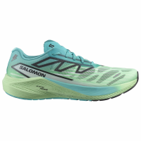 SALOMON Men Aero Volt 2 Peacock Blue/Spring Bouquet/Green Ash Running Shoe (L47427200)