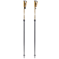 LINE Unisex Adult's Paintbrush Ski Poles (LN240580001)