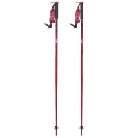 LINE Unisex Adult's Wallischtick Ski Poles (LN240582)