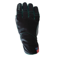SWIX Men's Arendal Gloves (H02104)