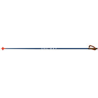 ONE WAY Storm 5 Mag Navy Nordic Race Poles (OZ42421)