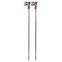 LEKI Airfoil 3D Ski Poles