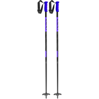 LEKI Swtch Ski Poles
