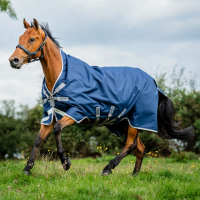 HORSEWARE IRELAND Amigo Bravo 12 Wug Light 0g Turnout Blancket (AARW71)