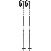 LEKI Swtch Ski Poles