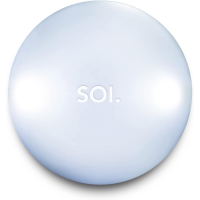 BRAINSTREAM SOI The Original Purse Light with Automatic Motion Sensor (A001546)