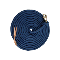 KENSINGTON Clinician Training Lead (KTL)