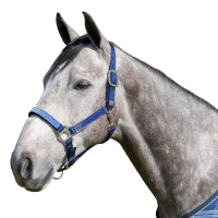 KENSINGTON PROTECTIVE PRODUCTS Premium Nylon Halter (KHS)