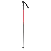 ROSSIGNOL Unisex Tactic Alpine Poles (RDN20)