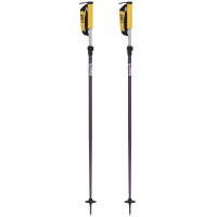 LINE Paintbrush Purple Ski Poles (LN251532001)