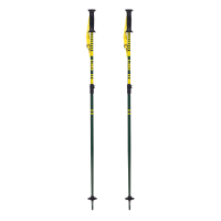 LINE Get Up Green Ski Poles (LN251535001)
