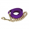 INTREPID INTERNATIONAL Poly Web 6ft Lead with 20in Chain