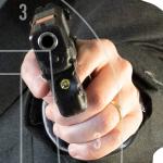 Defense Target II Stickers - Left Hand Variety 6-Pack