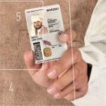 Defense V Stickers&comma; Left Hand&comma; Variety 6 Pack