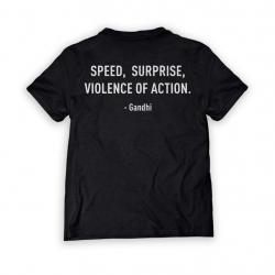 Speed&comma; Surprise&comma; Violence of Action