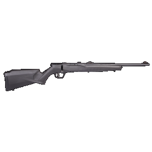 Savage Arms B22F Compact Bolt Action Rifle 22 LR - 18" - Matte Blue - Savage Arms